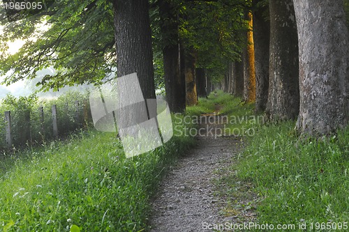 Image of sunrise in beautiful alley 