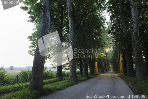 Image of sunrise in beautiful alley 