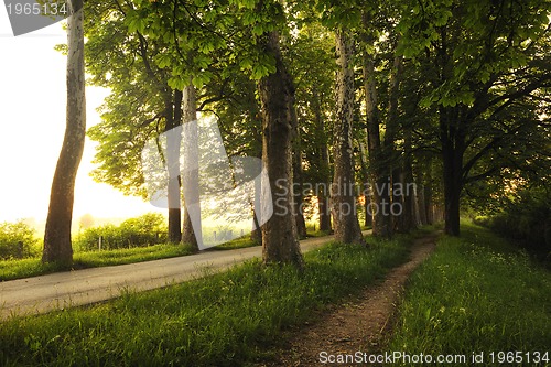 Image of sunrise in beautiful alley 