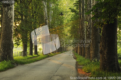 Image of sunrise in beautiful alley 