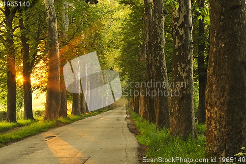 Image of sunrise in beautiful alley 