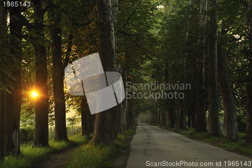 Image of sunrise in beautiful alley 