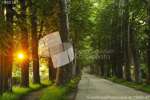 Image of sunrise in beautiful alley 