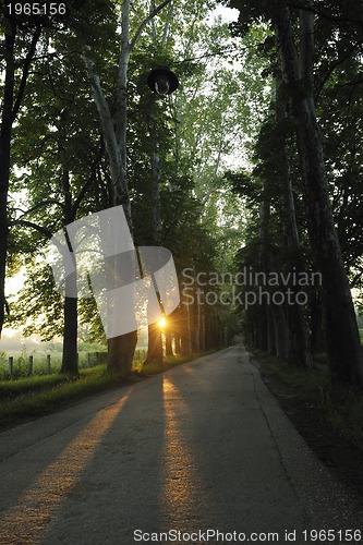 Image of sunrise in beautiful alley 