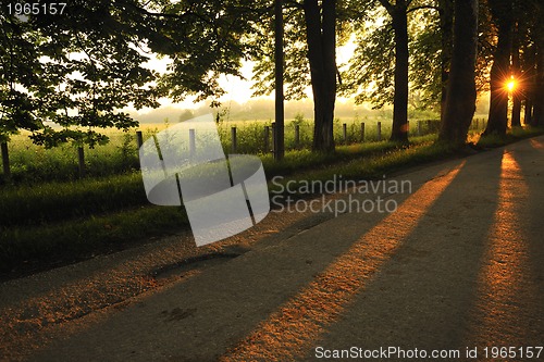 Image of sunrise in beautiful alley 