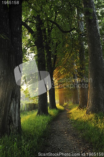 Image of sunrise in beautiful alley 