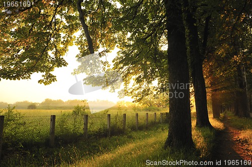 Image of sunrise in beautiful alley 