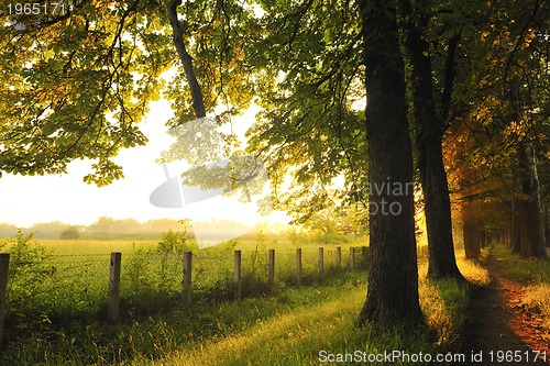 Image of sunrise in beautiful alley 