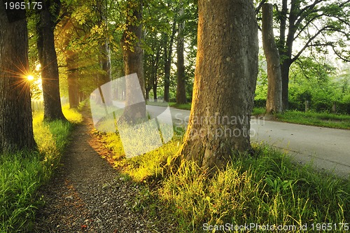 Image of sunrise in beautiful alley 