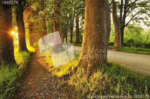 Image of sunrise in beautiful alley 