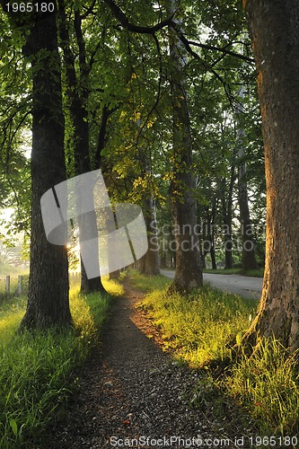 Image of sunrise in beautiful alley 