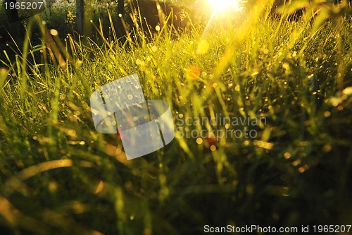 Image of sunrise in beautiful alley 