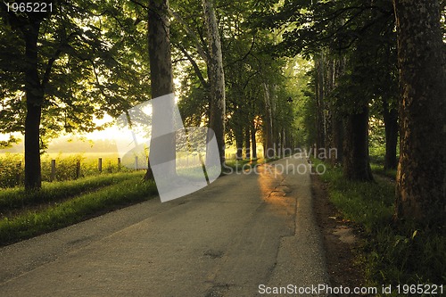 Image of sunrise in beautiful alley 