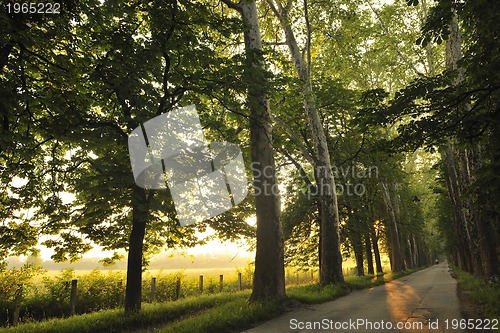 Image of sunrise in beautiful alley 