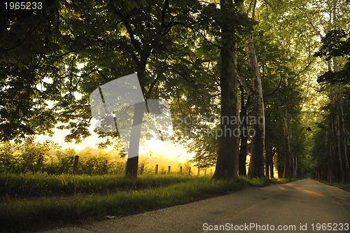 Image of sunrise in beautiful alley 