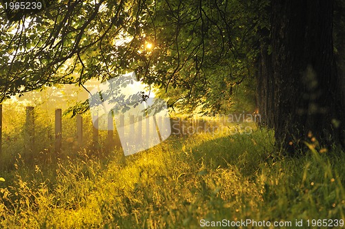 Image of sunrise in beautiful alley 