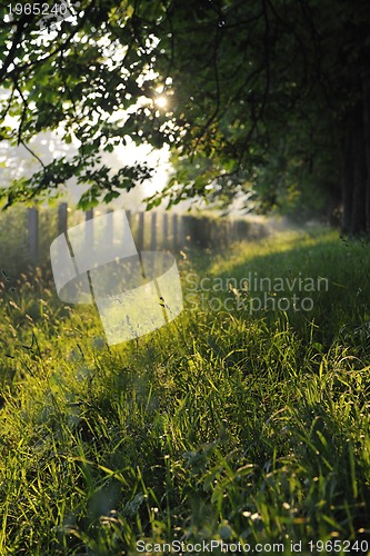 Image of sunrise in beautiful alley 