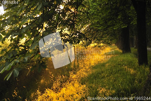 Image of sunrise in beautiful alley 