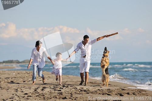 Image of happy family playing with dog on beach