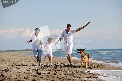 Image of happy family playing with dog on beach