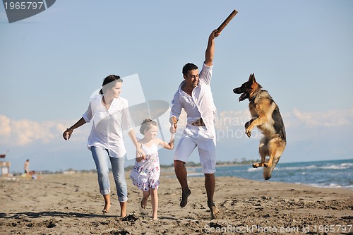 Image of happy family playing with dog on beach