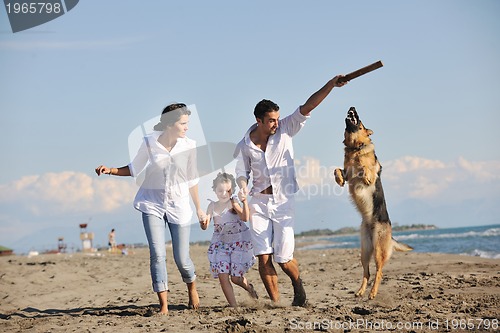 Image of happy family playing with dog on beach