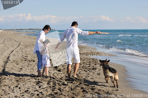 Image of happy family playing with dog on beach