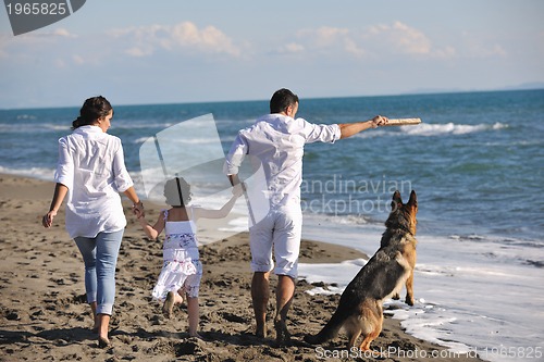 Image of happy family playing with dog on beach