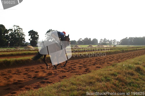 Image of at the races