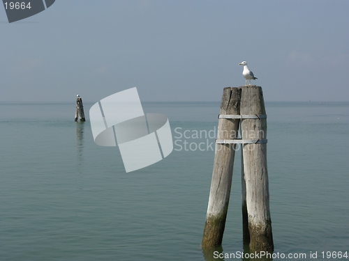 Image of Secret lagoon of Venice