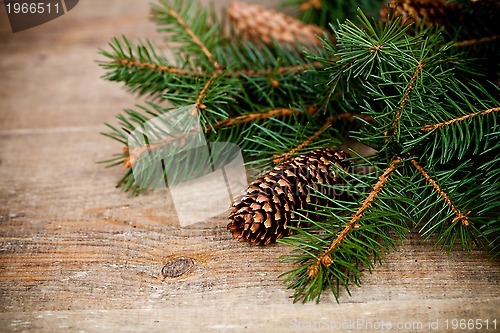 Image of christmas fir tree with pinecones 