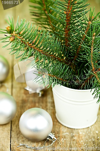 Image of christmas fir tree and white decorations