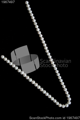 Image of White pearls on the black velvet  