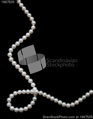 Image of White pearls on the black velvet  background