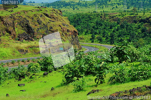 Image of Greenery and highway