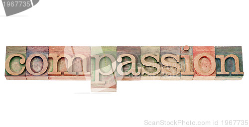 Image of compassion word in wood type