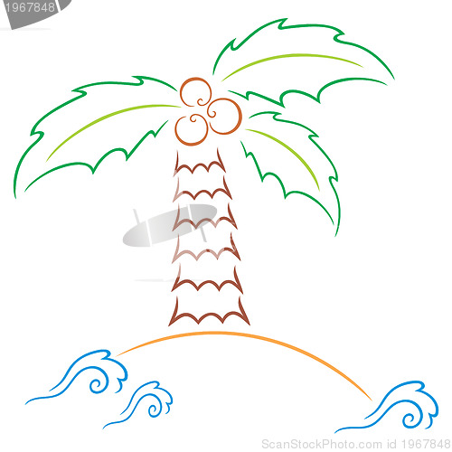Image of Palm at island