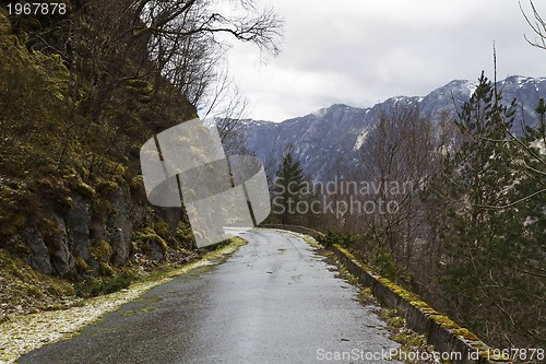 Image of run-down road in rural landscape