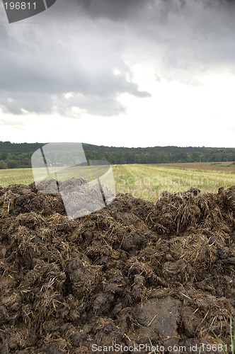 Image of Manure heap