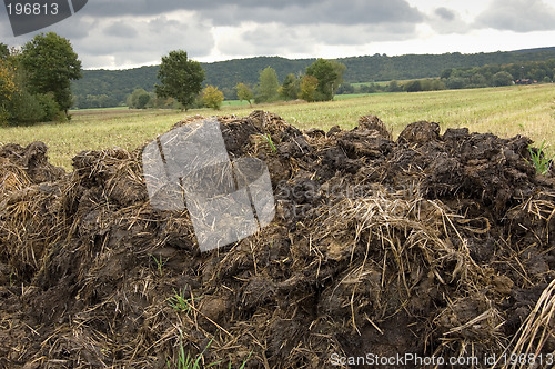 Image of Manure heap