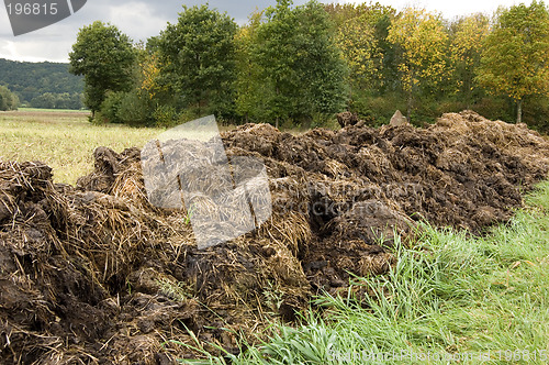 Image of Manure heap