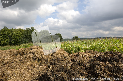 Image of Manure heap