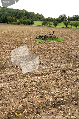 Image of Island in the soil