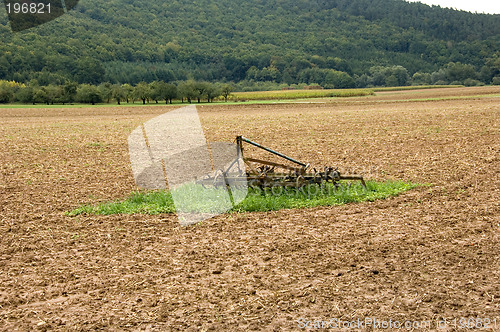 Image of Island in the soil