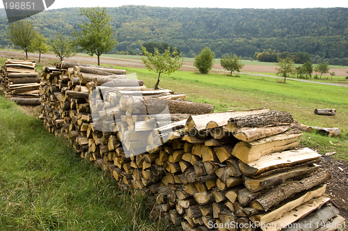 Image of Piles of wood