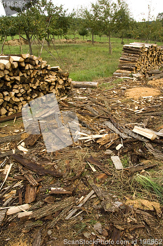 Image of Piles of wood