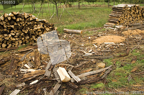 Image of Piles of wood