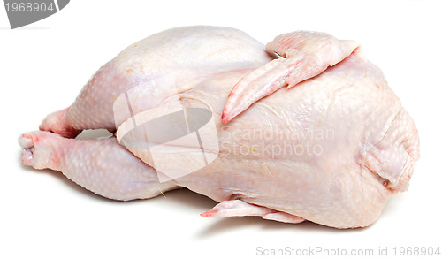 Image of raw chicken