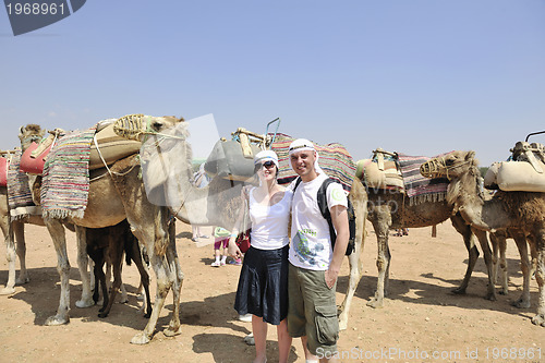 Image of camel