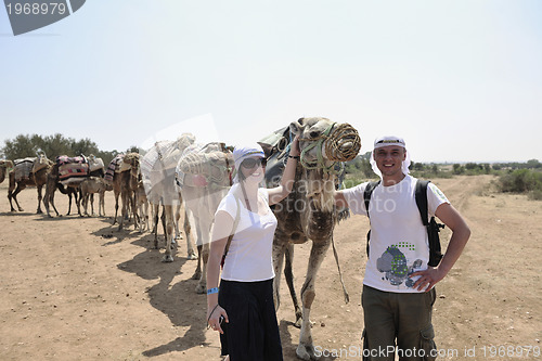 Image of camel